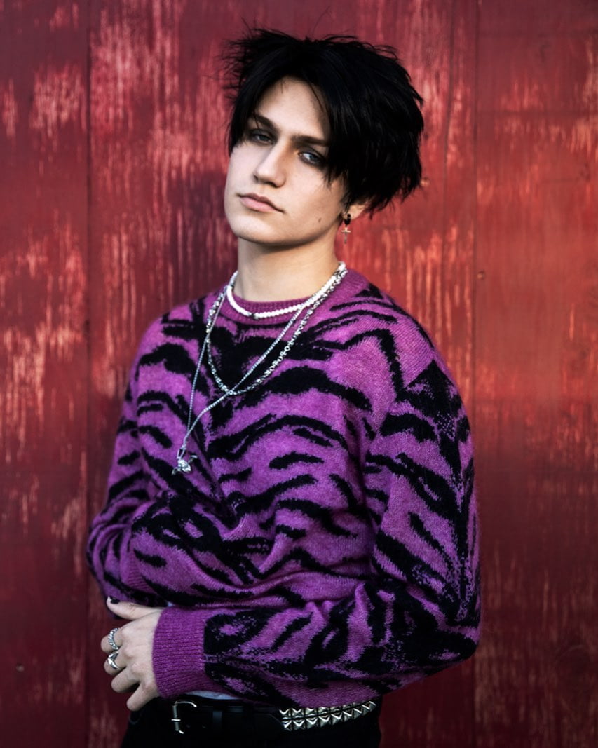 Who is TikTok Star Chase Hudson? His Age, Girlfriend & More