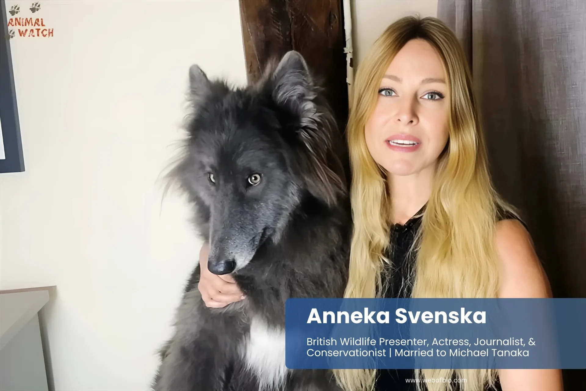 Anneka Svenska posing with grey dog.
